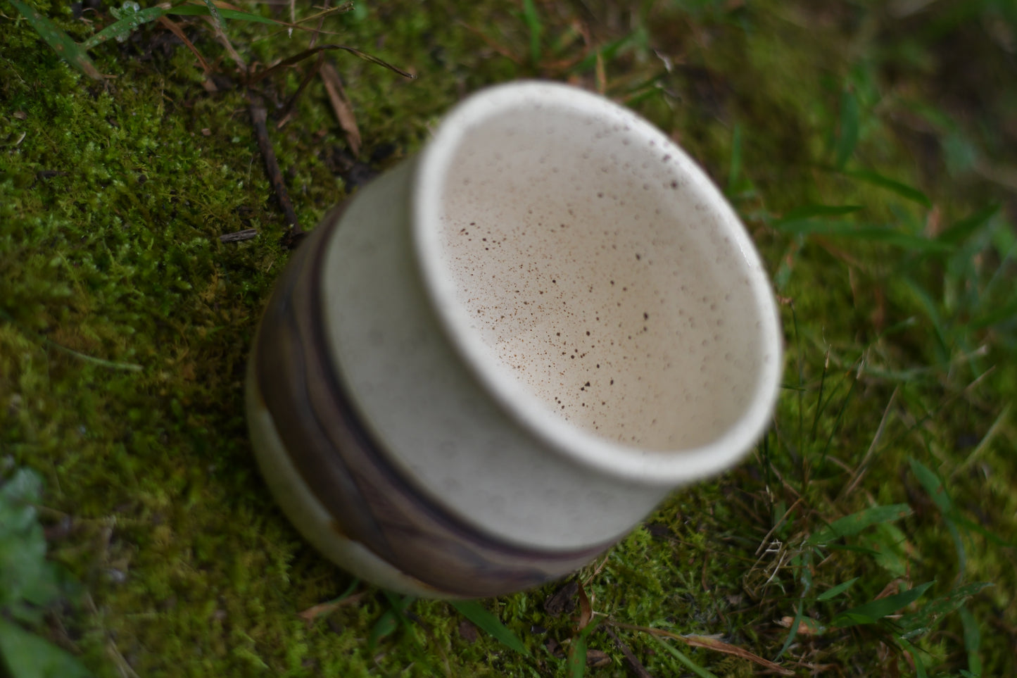 Rustic Mountain Cup