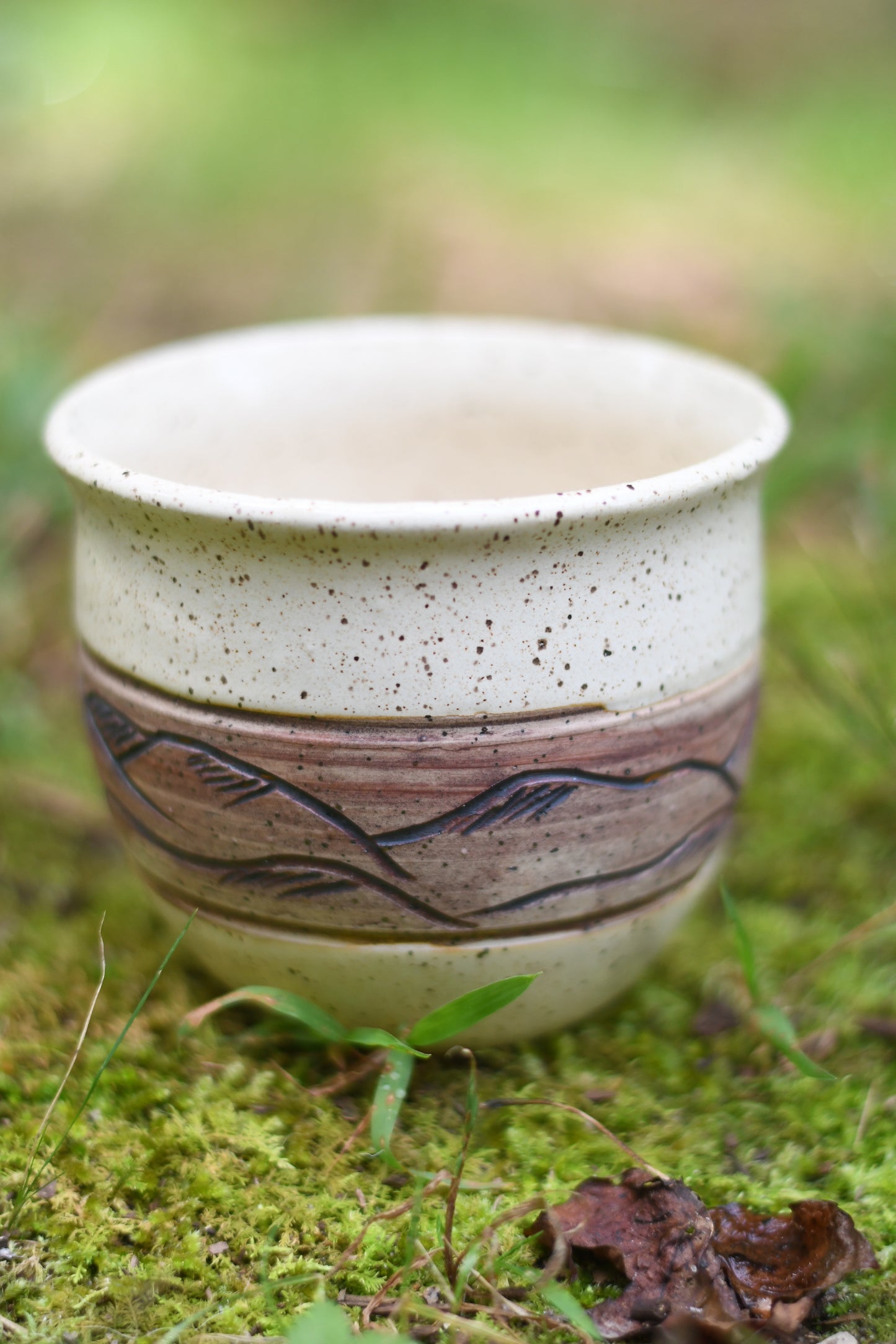 Rustic Mountain Cup