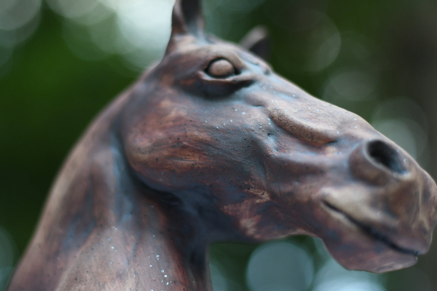 Hand Sculpted Horse Head