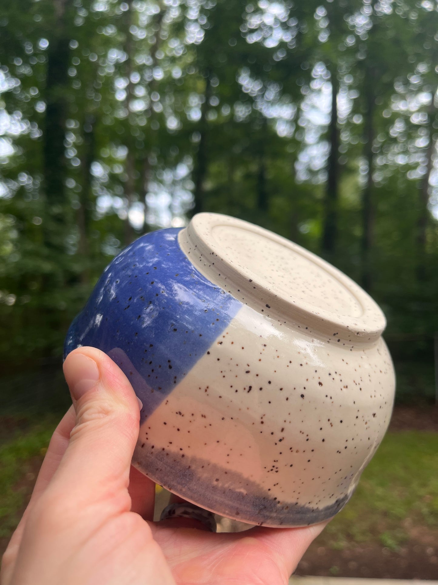 Blue and White Bowl