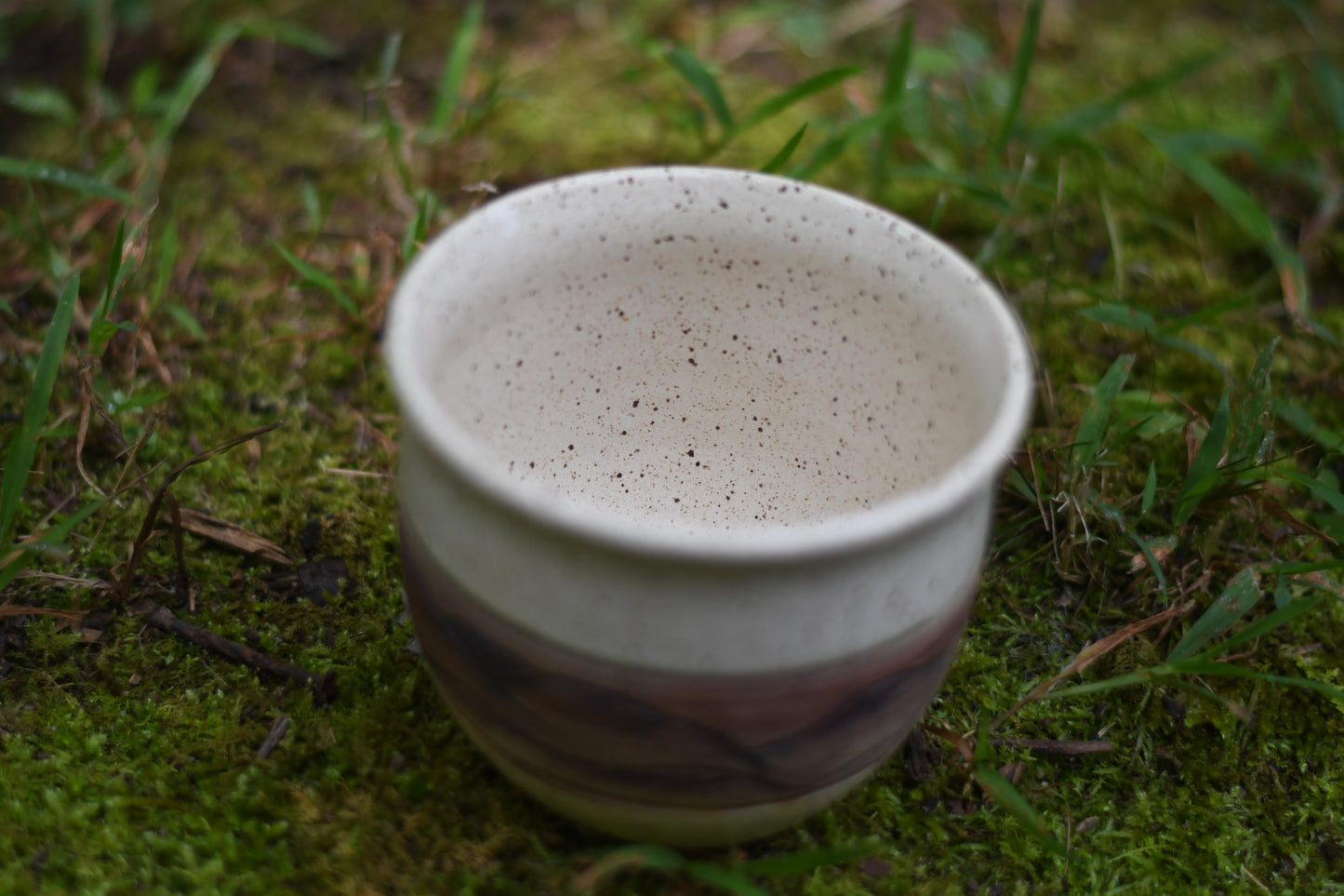 Rustic Mountain Cup