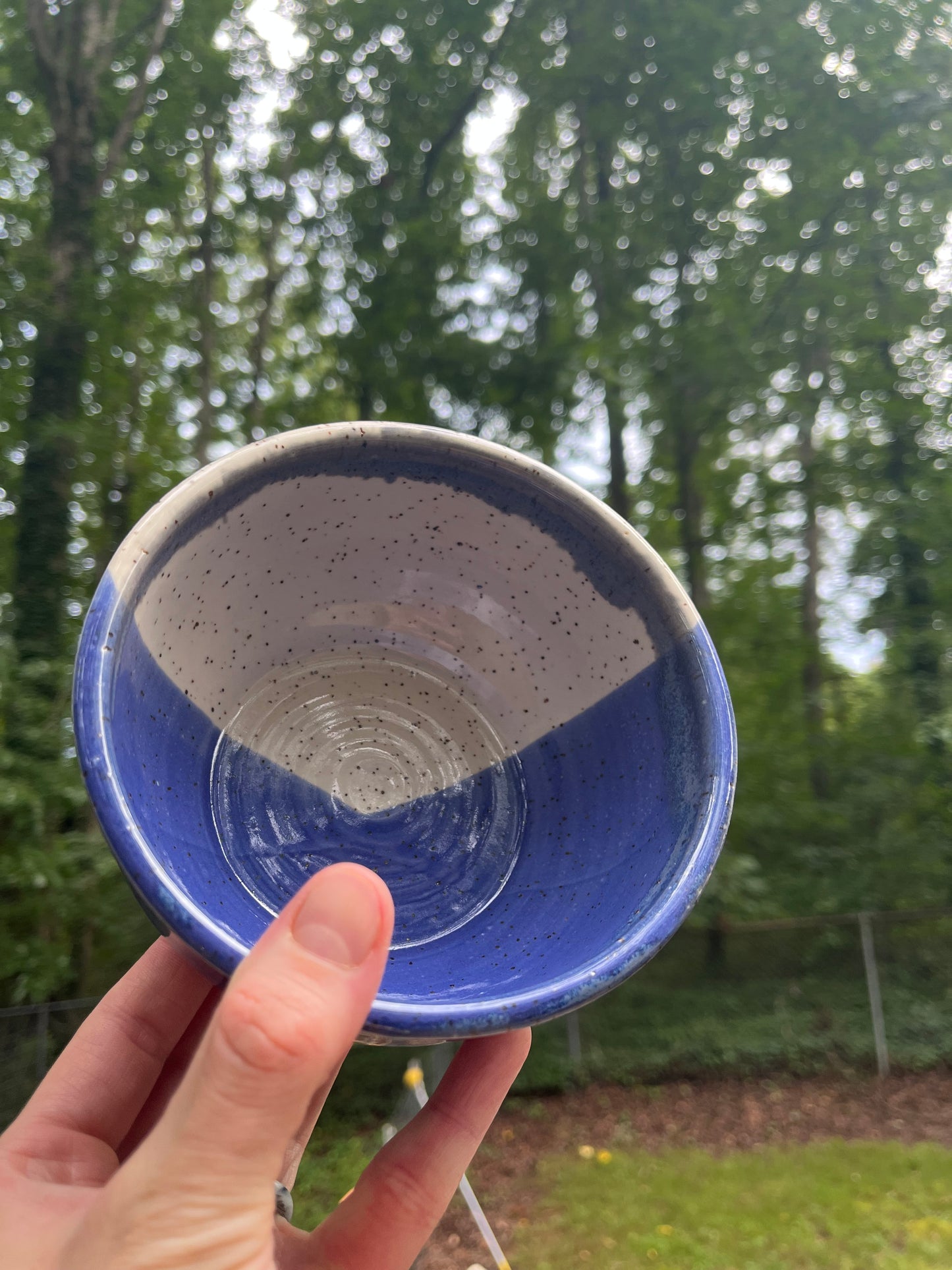 Blue and White Bowl