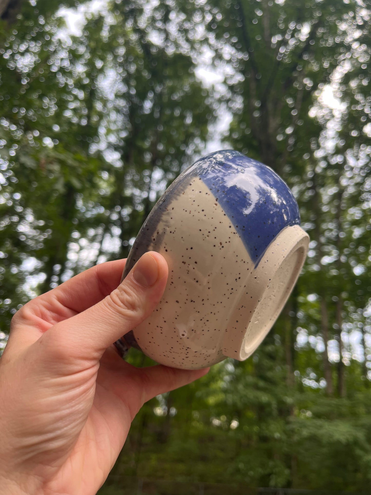 Blue and White Bowl