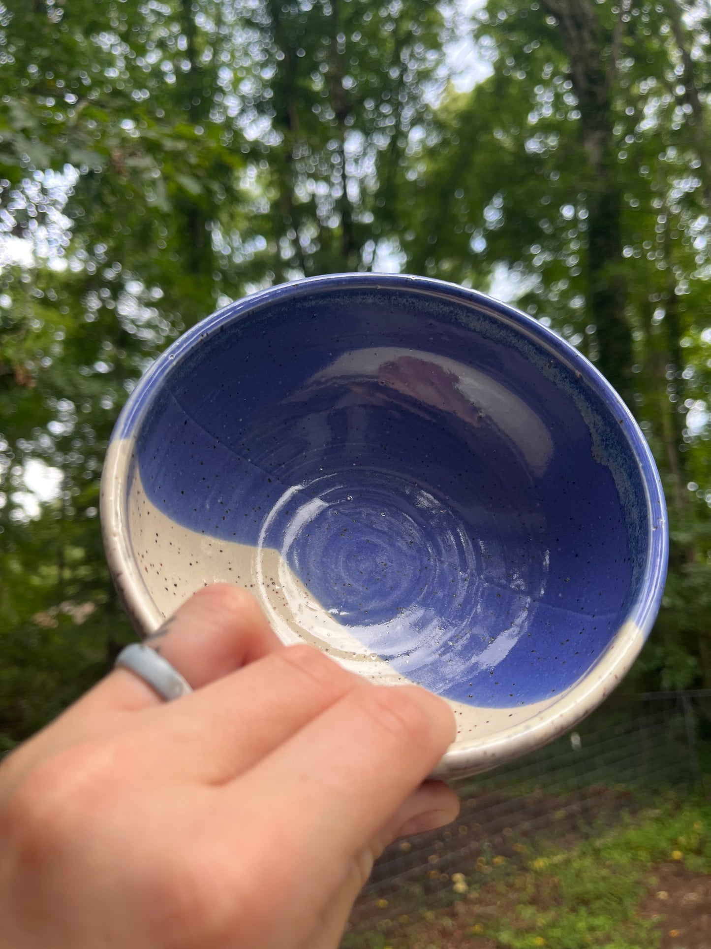 Blue and White Bowl