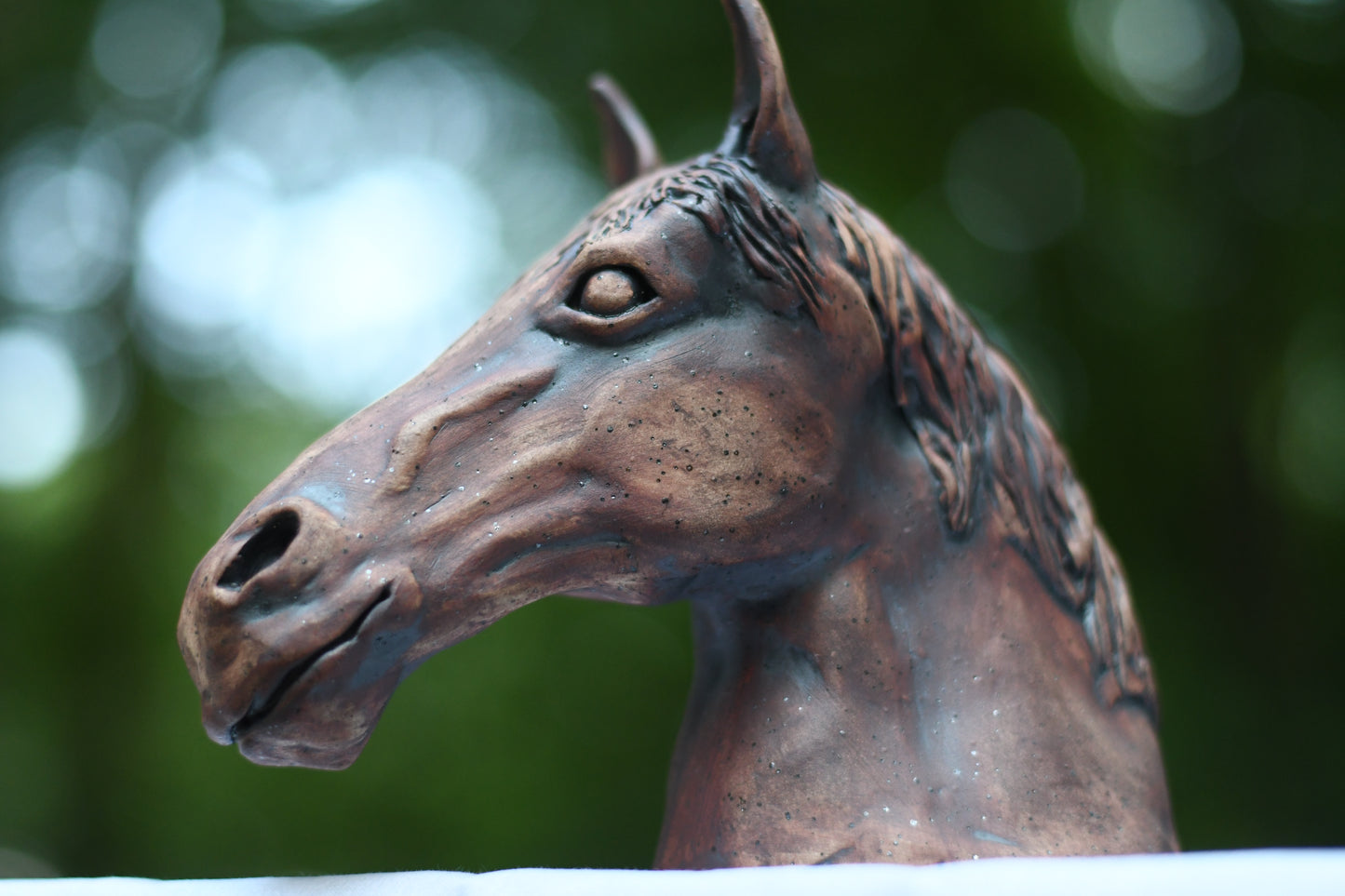 Hand Sculpted Horse Head