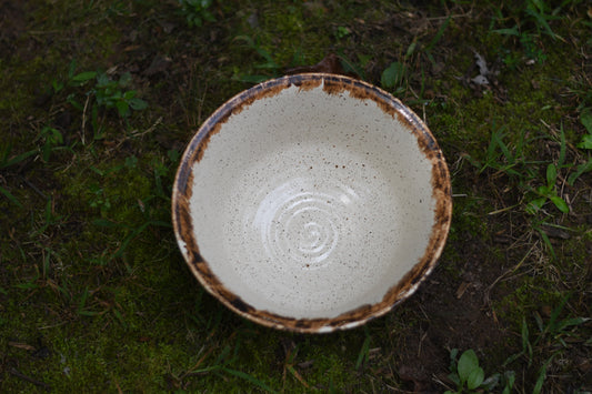 Large Bowl
